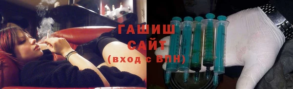 молекула духа Новозыбков