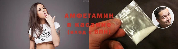 сатива Нягань