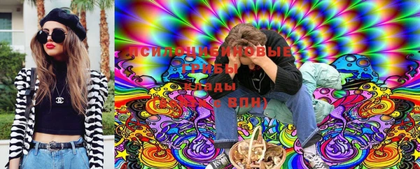 PSILOCYBIN Нязепетровск