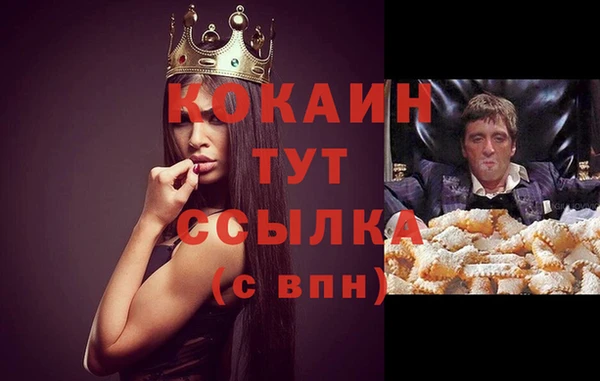 хмурый Нея