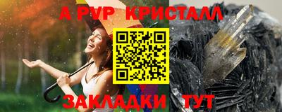 шишки Апшеронск