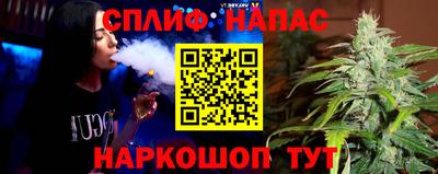 шишки Апшеронск
