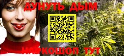 шишки Апшеронск