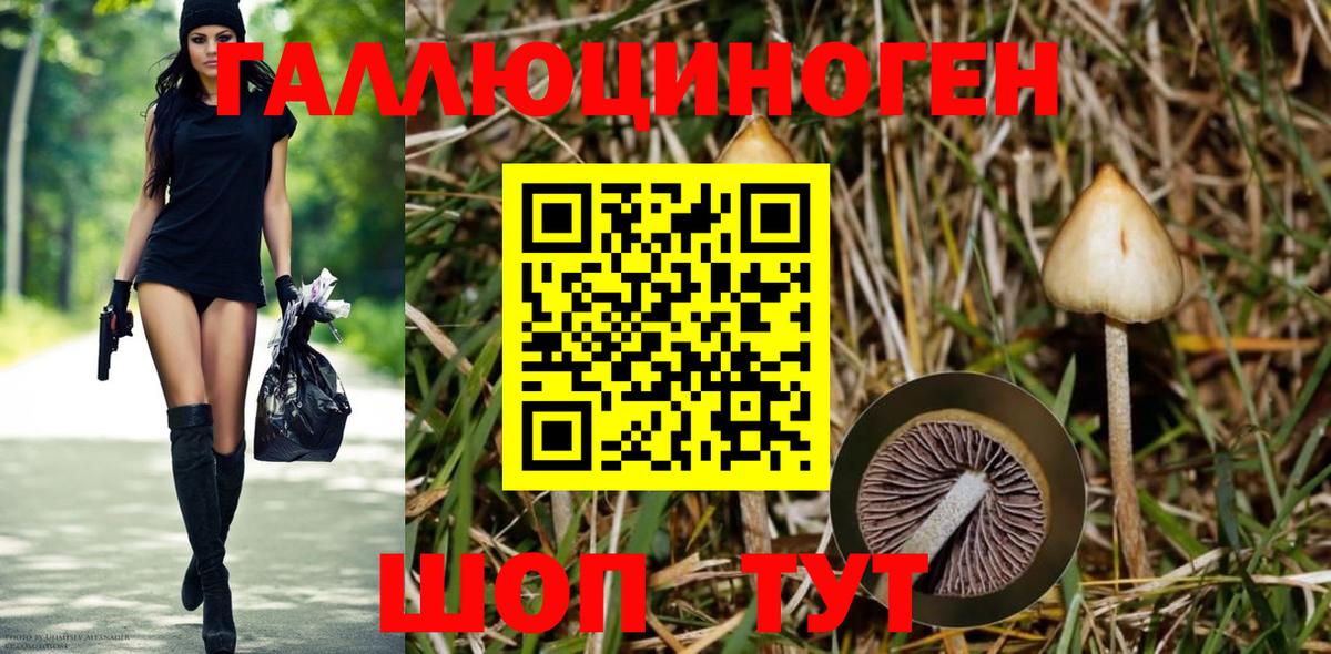 NBOMe  Марихуана  Кизилюрт  Вход с VPN  ГАШ  Метадон  Экстази  Меф кристаллы 