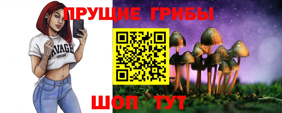 Кизилюрт  Псилоцибиновые грибы MAGIC MUSHROOMS  Псилоцибиновые грибы Psilocybine cubensis  Вход с VPN 
